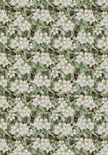 Load image into Gallery viewer, Tablecloth - Frangipani