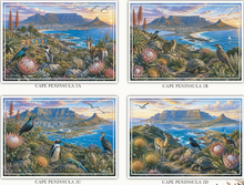 Load image into Gallery viewer, Vinyl Placemats - Fauna &amp; Flora - Cape Peninsula 2 - Set of 4