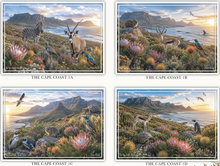 Load image into Gallery viewer, Vinyl Placemats - Fauna &amp; Flora - The Cape Coast - Set of 4