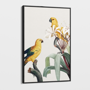 Canvas Wall Art - Vintage - Tropical Birds 3