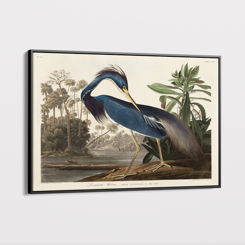 Canvas Wall Art - Vintage Illustration - Heron