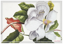 Load image into Gallery viewer, Vinyl Placemats - Set of 4 - Magnolia - White