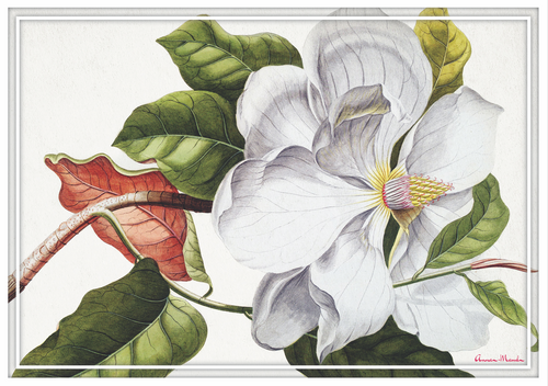 Vinyl Placemats - Set of 4 - Magnolia - White