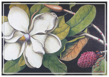 Load image into Gallery viewer, Vinyl Placemats - Set of 4 - Magnolia - Midnight