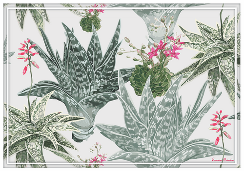Vinyl Placemats - Set of 4 - Aloes and Succulents