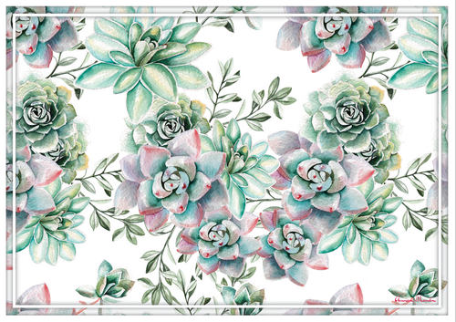 Vinyl Placemats - Set of 4 - Succulents - Watercolour