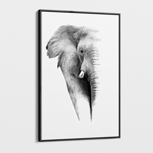 Canvas Wall Art - Wildlife - Elephant 1