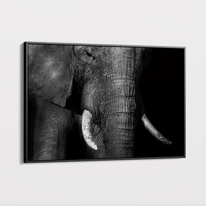 Canvas Wall Art - Wildlife - Elephant 3