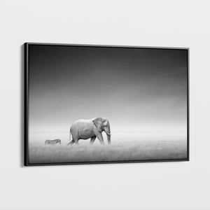 Canvas Wall Art - Wildlife - Elephant and Zebra