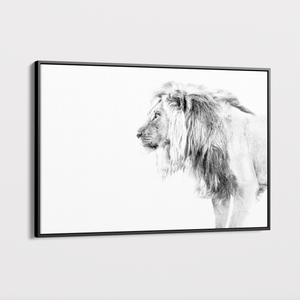 Canvas Wall Art - Wildlife - Lion 1