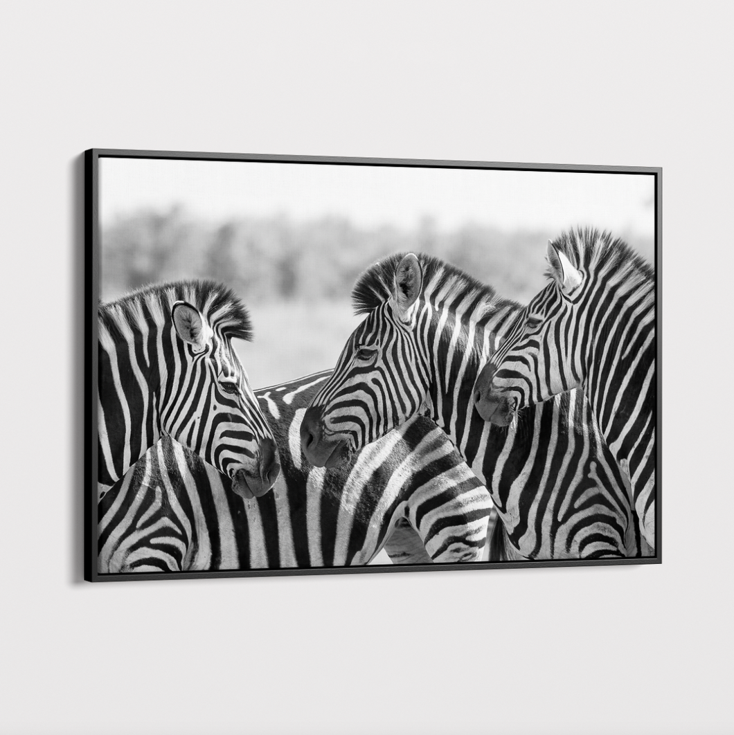 Canvas Wall Art - Zebra 3